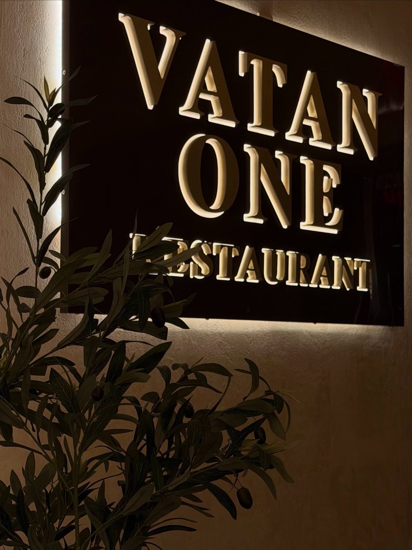 Backlit Vatan One sign on a textured wall beside an olive tree inside the dining room